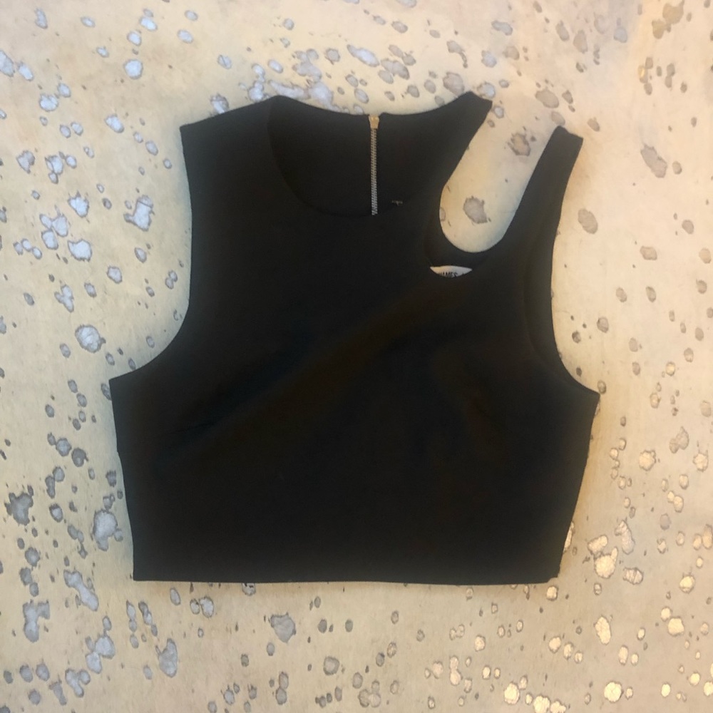 Elizabeth and James crop top